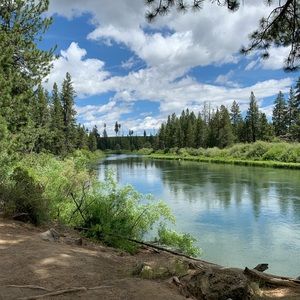 Meet your Posher, Nikki